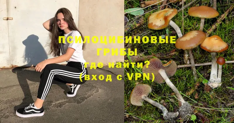 Галлюциногенные грибы MAGIC MUSHROOMS  что такое наркотик  Ленск 